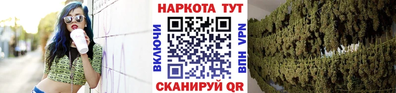 Каннабис Дмитров