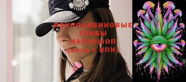 гидропоника Великий Новгород