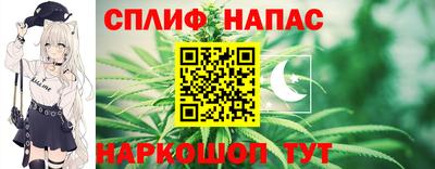 гашик Будённовск