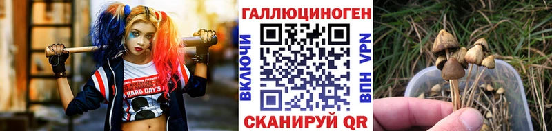 Псилоцибиновые грибы Magic Shrooms  хочу   Дмитров 