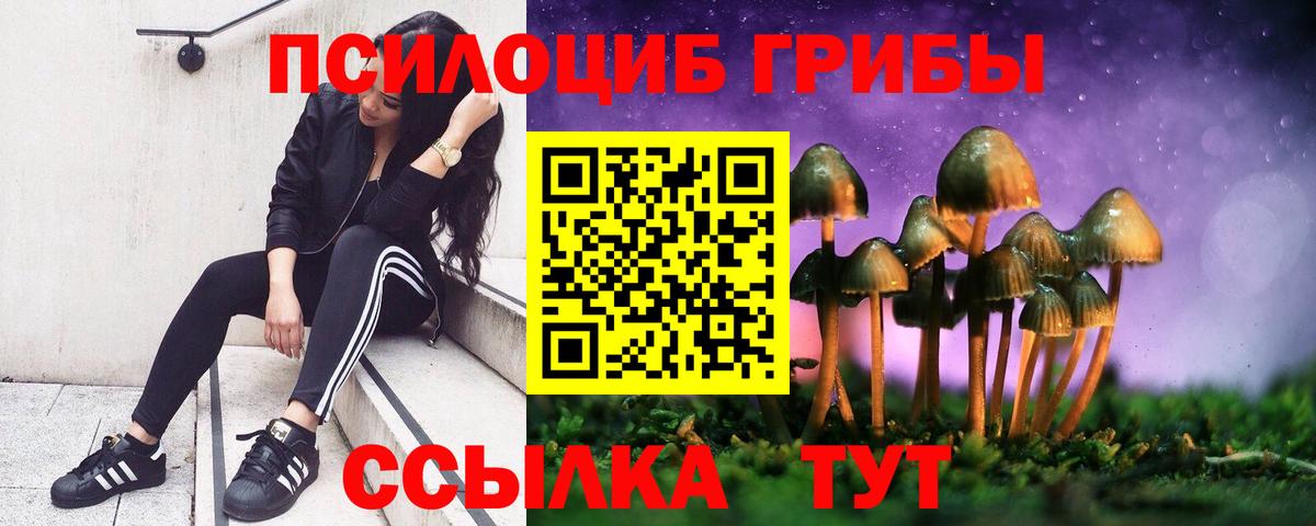Дмитров  Галлюциногенные грибы ЛСД  Галлюциногенные грибы Cubensis  Вход с VPN 