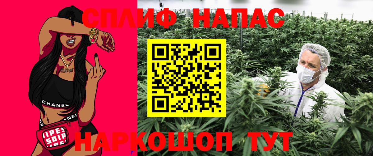 Бошки Шишки White Widow Дмитров